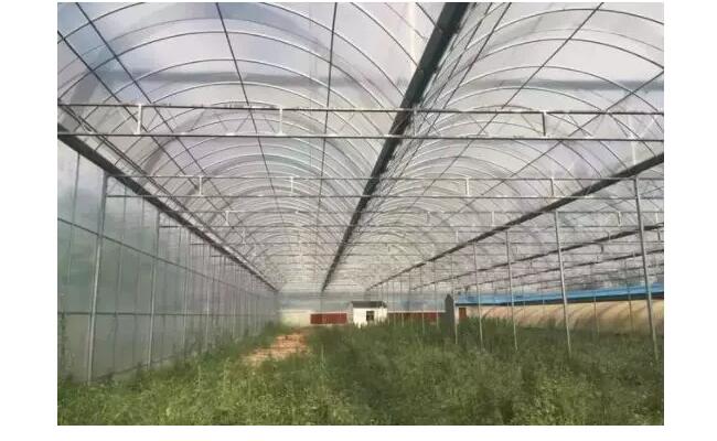 農(nóng)用大棚無紡布